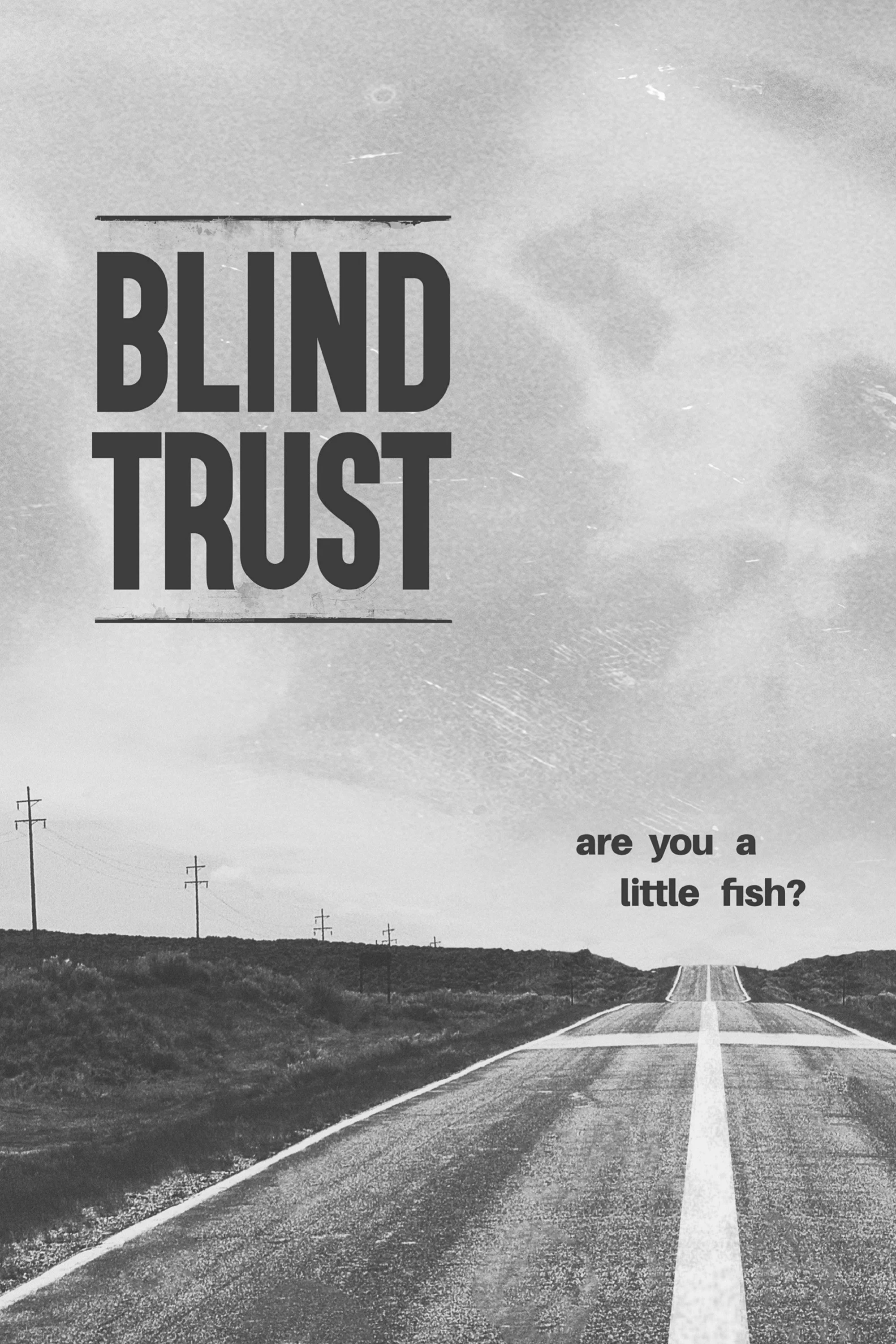 Cover of Blind Trust