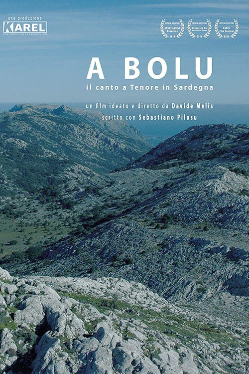 Cover of To Bolu