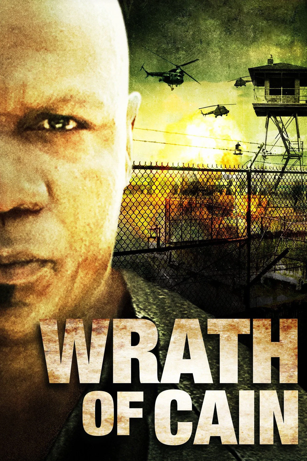 Cover of The Wrath of Cain
