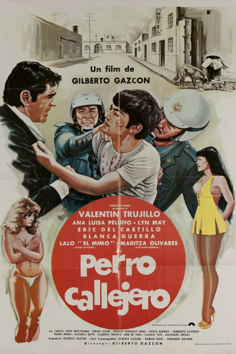 Cover of Perro callejero