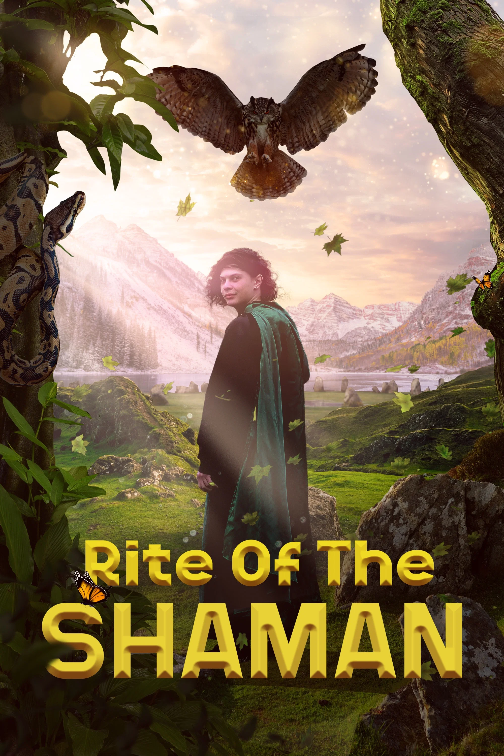 Cover of Rite of the Shaman