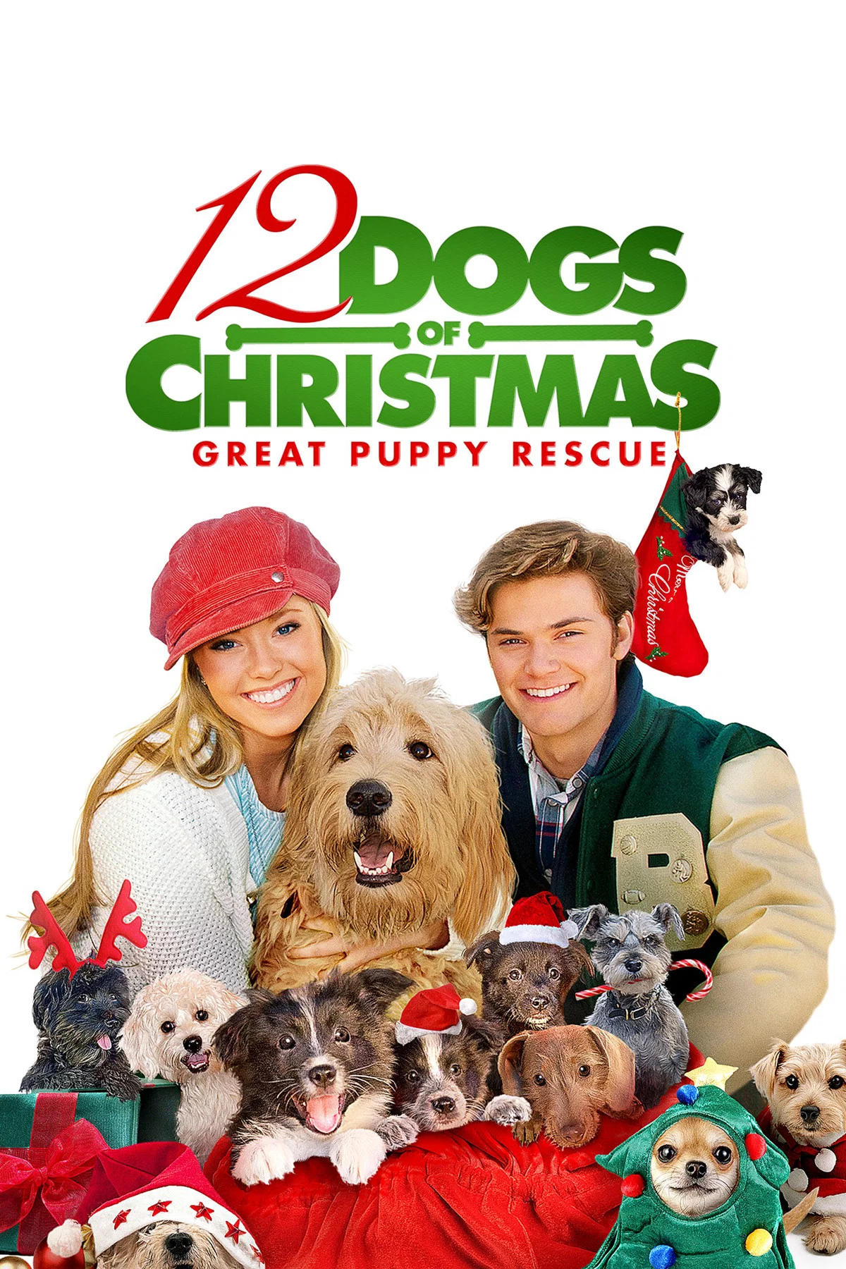 Cover of 12 Dogs of Christmas: Great Puppy Rescue