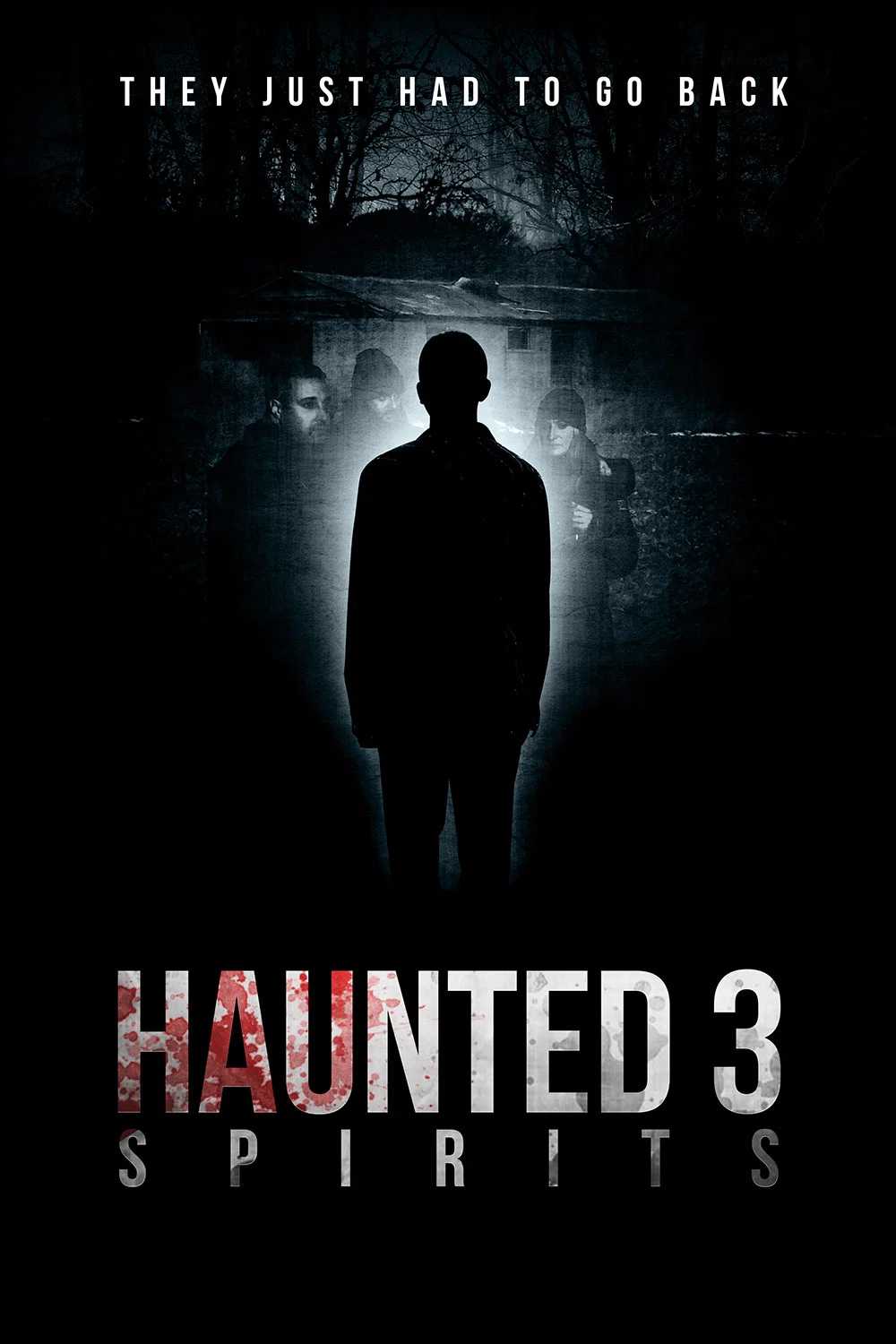 Cover of Haunted 3: Spirits