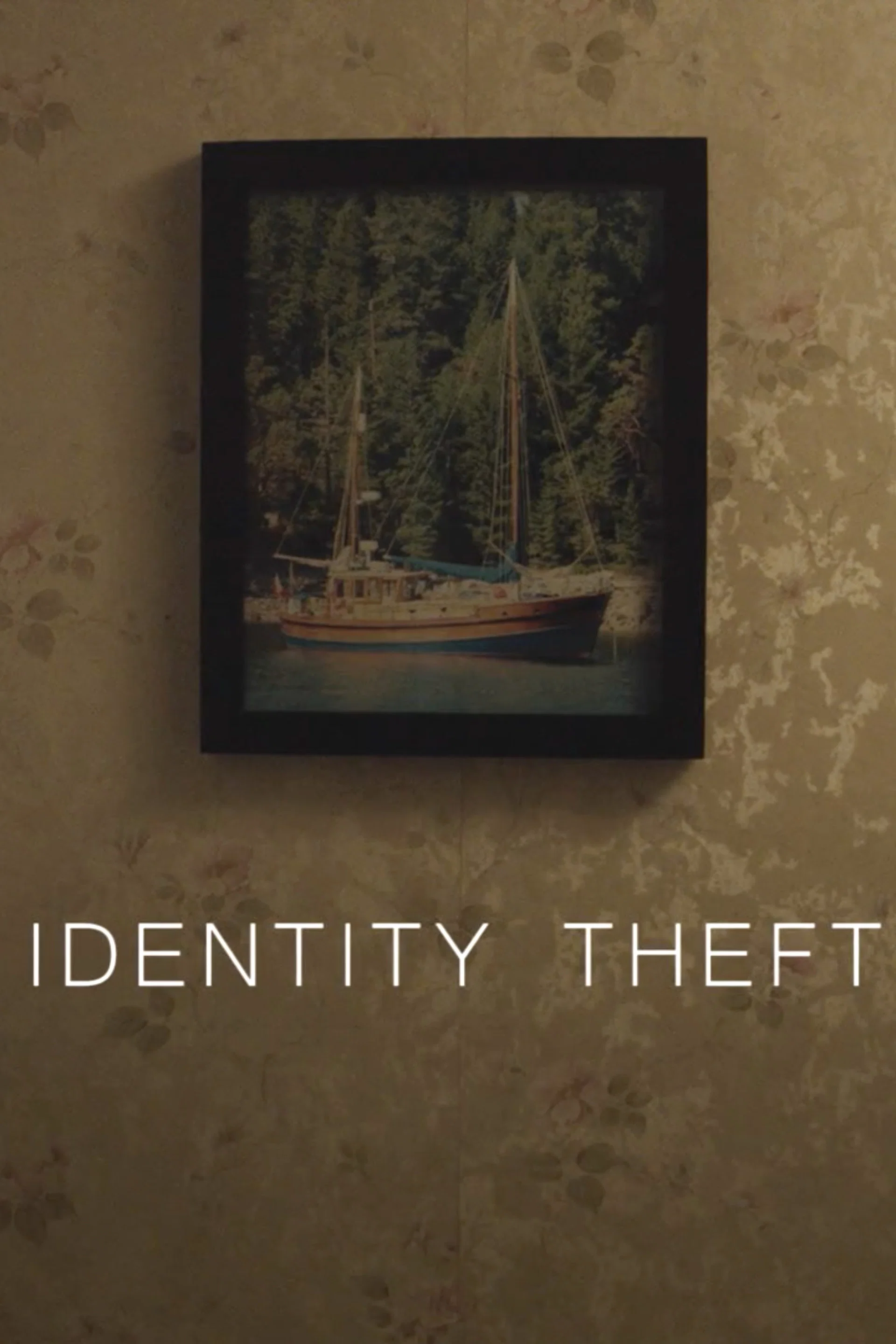 Cover of Identity Theft