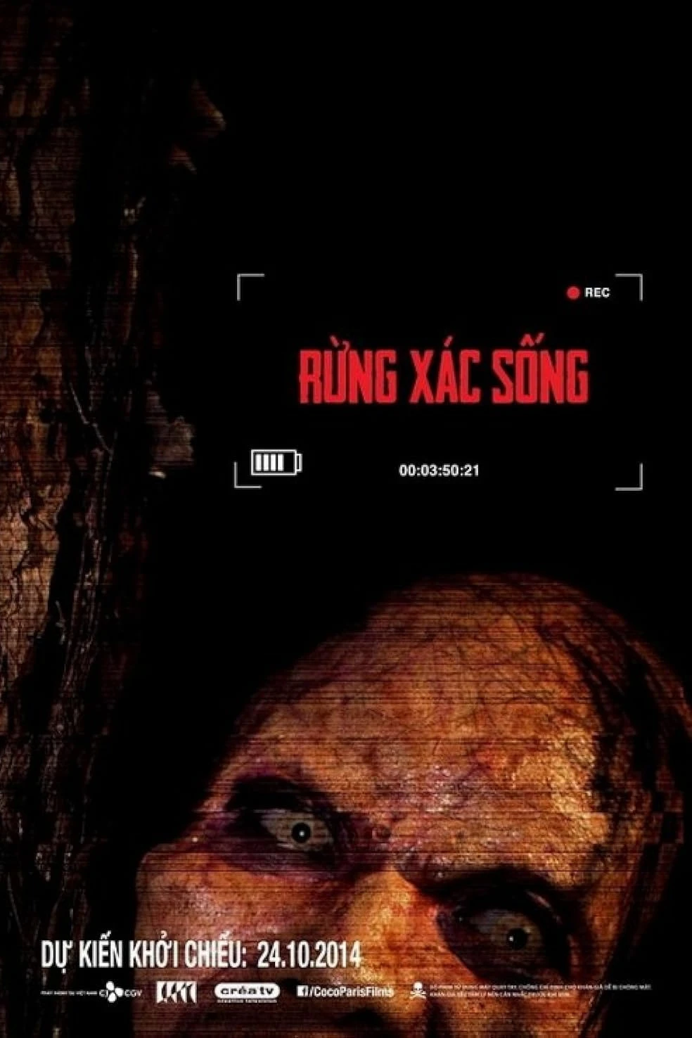 Cover of The Lost Tour: Vietnam