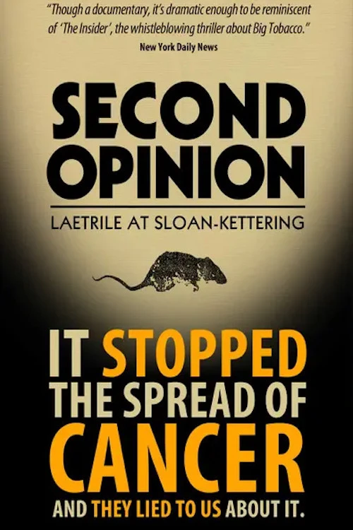 Cover of Second Opinion