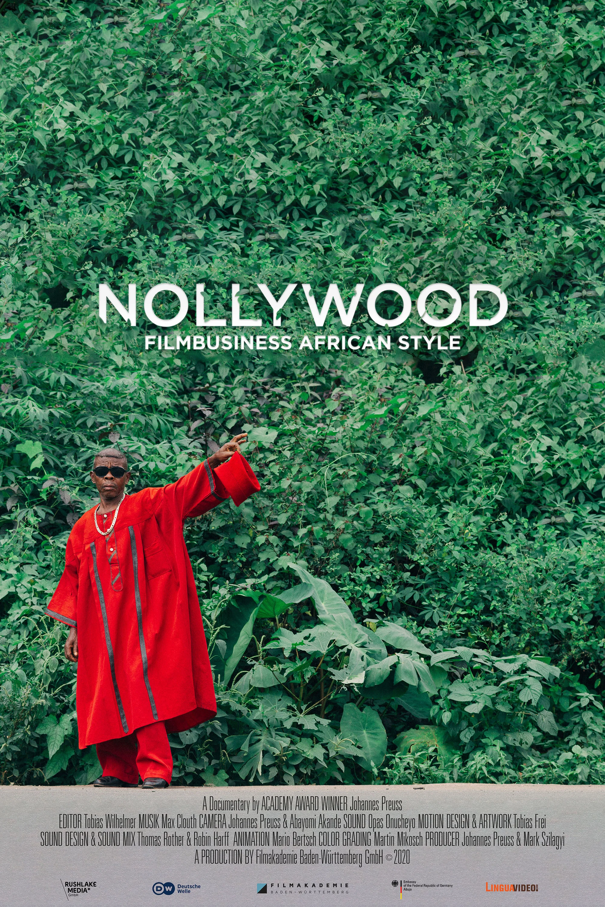 Cover of Nollywood