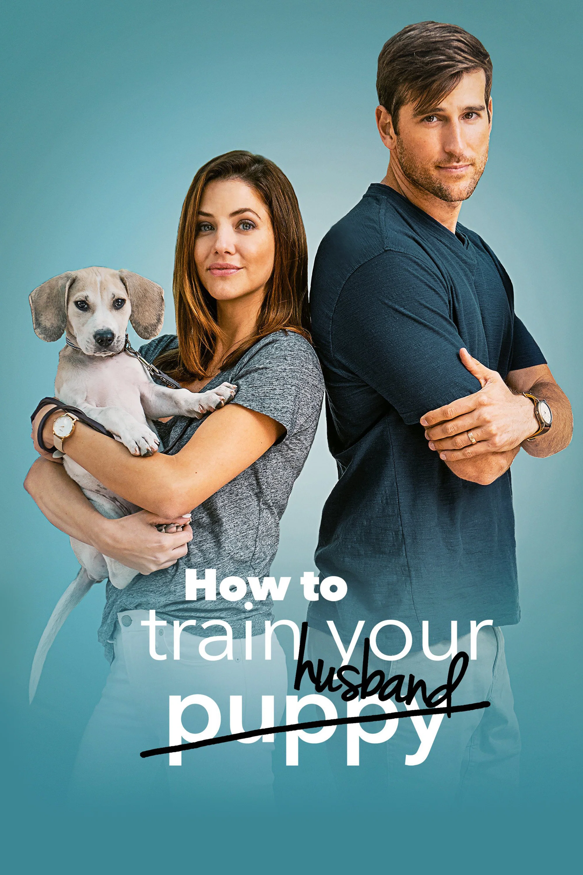 Cover of How to Train Your Husband
