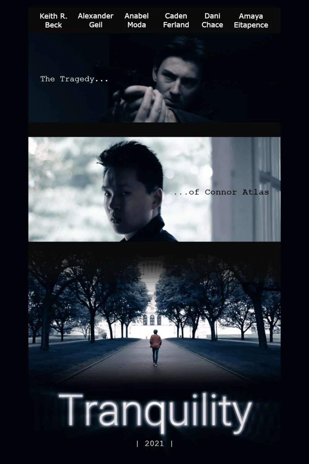 Cover of Tranquility - An Independent Film