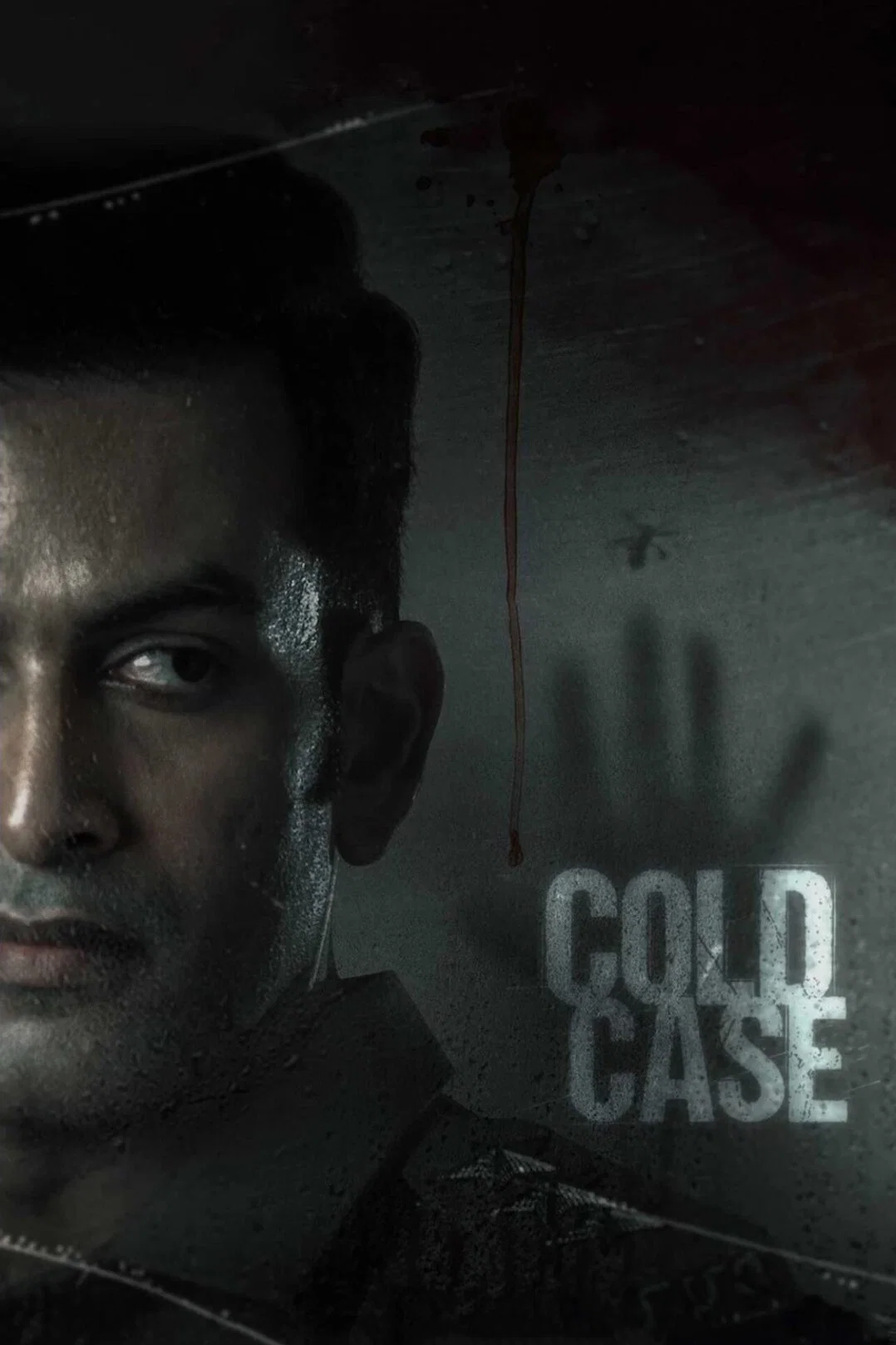 Cover of Cold Case