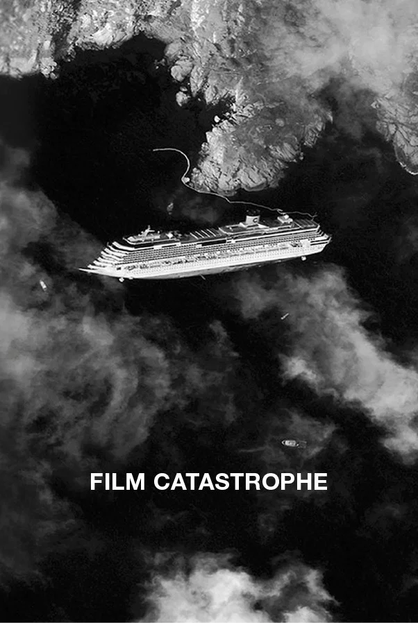 Cover of Film catastrophe