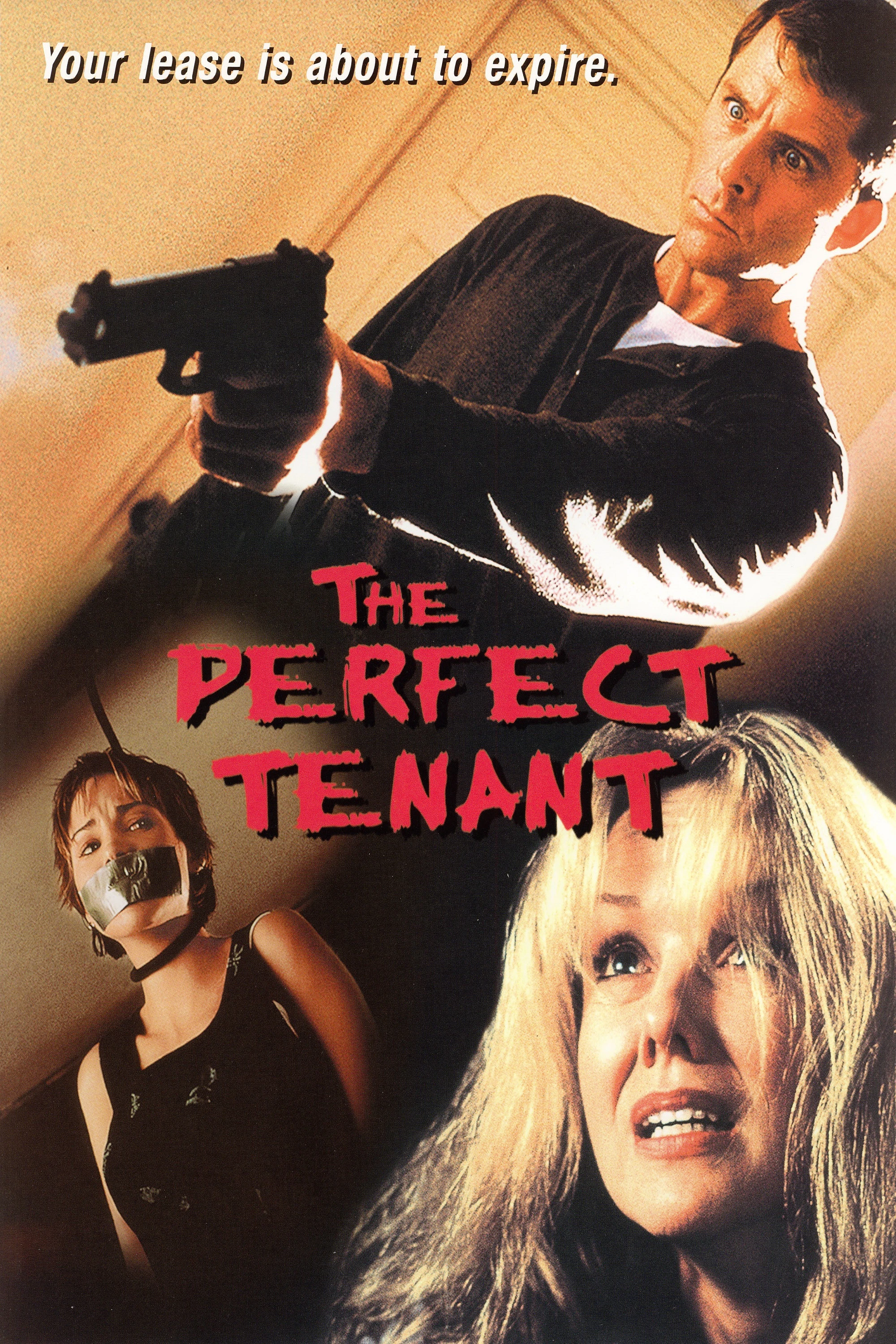 Cover of The Perfect Tenant