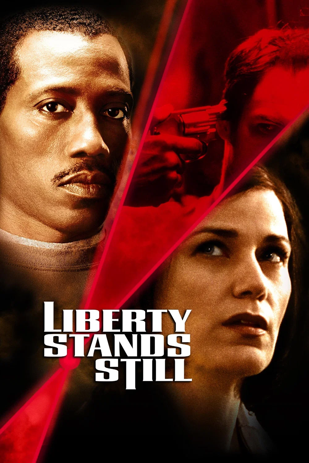 Cover of Liberty Stands Still