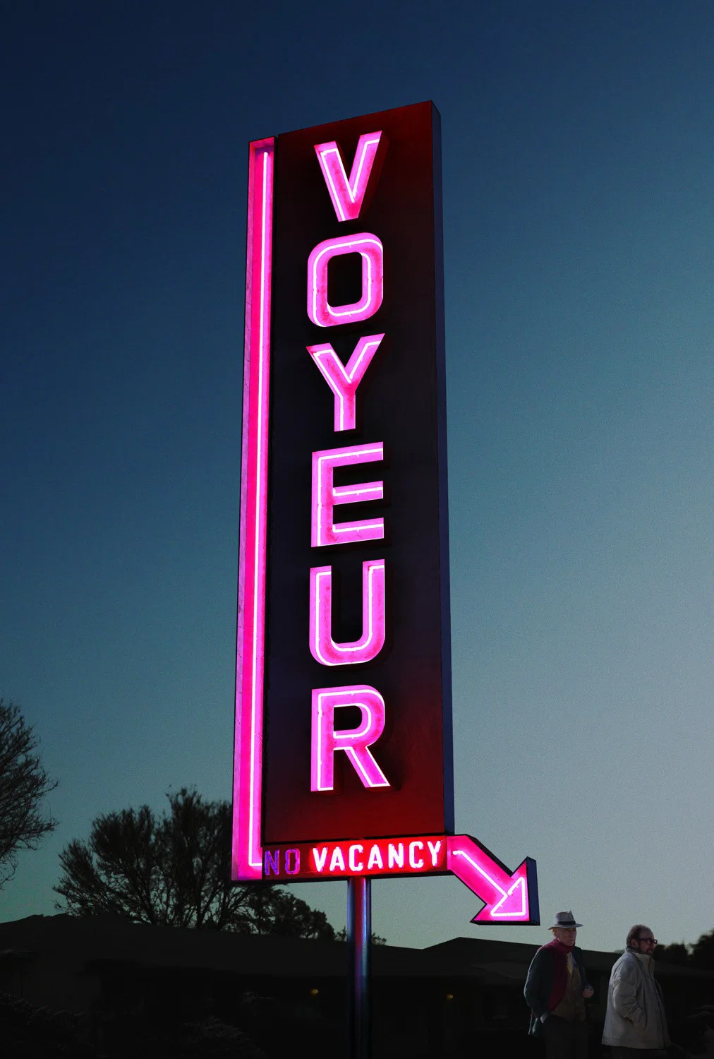Cover of Voyeur
