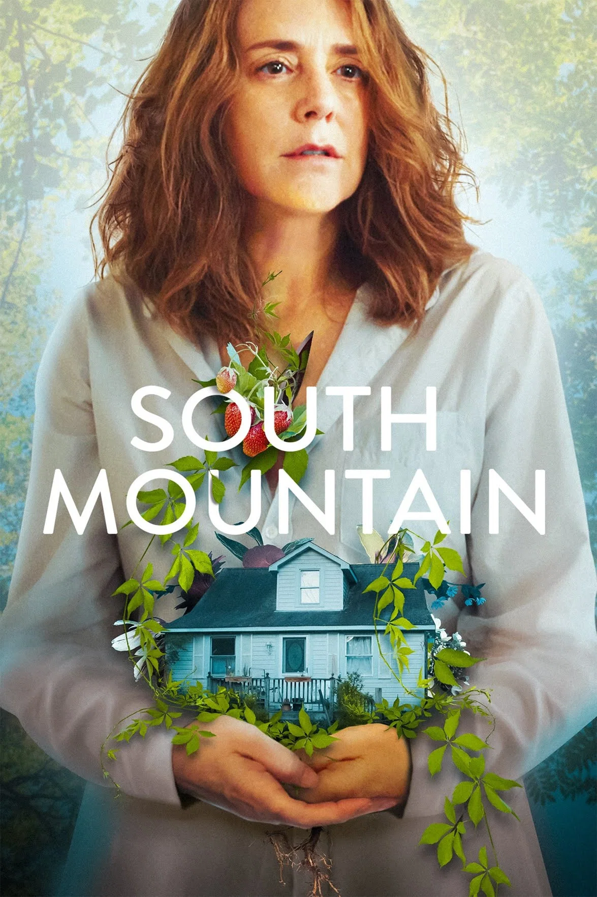 Cover of South Mountain