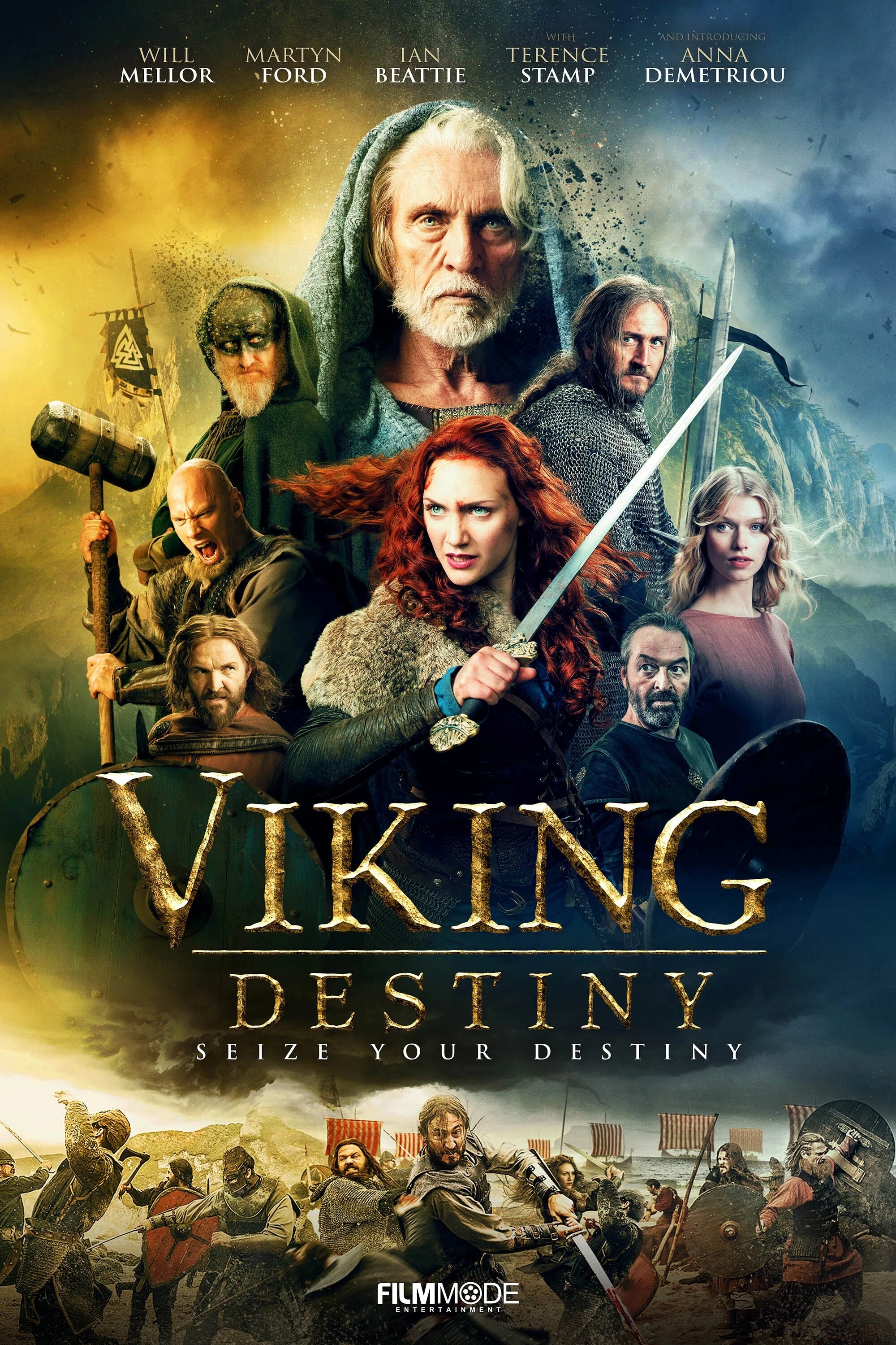 Cover of Viking Destiny