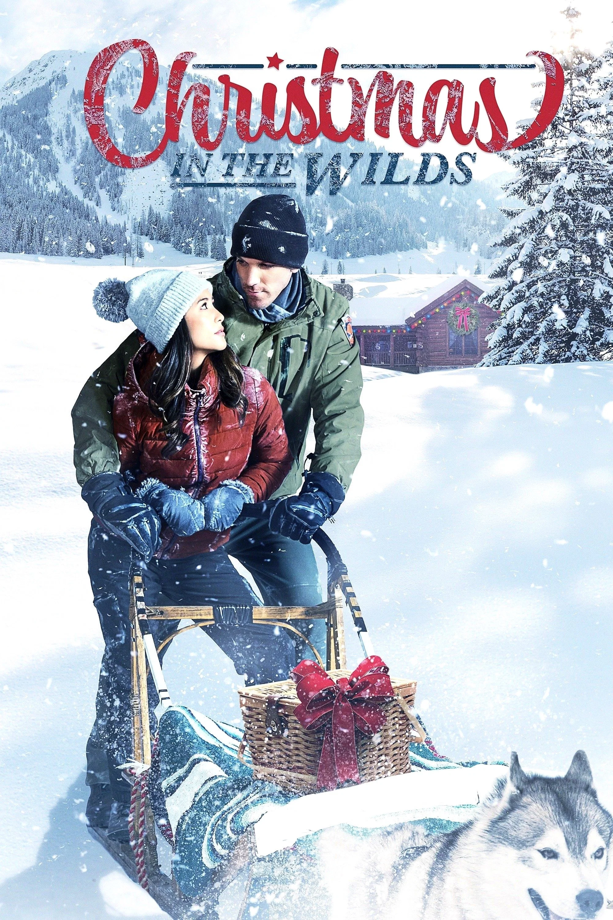 Cover of Christmas in the Wilds