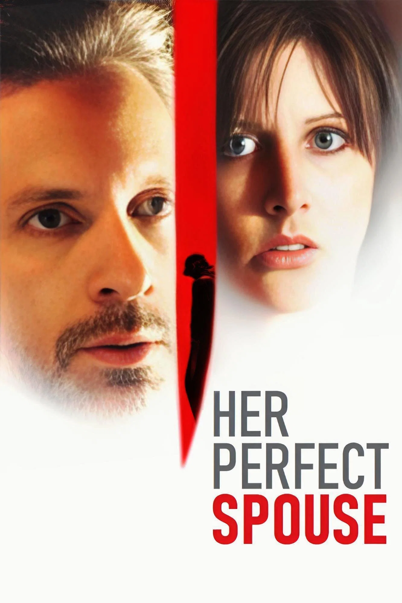 Cover of The Perfect Husband