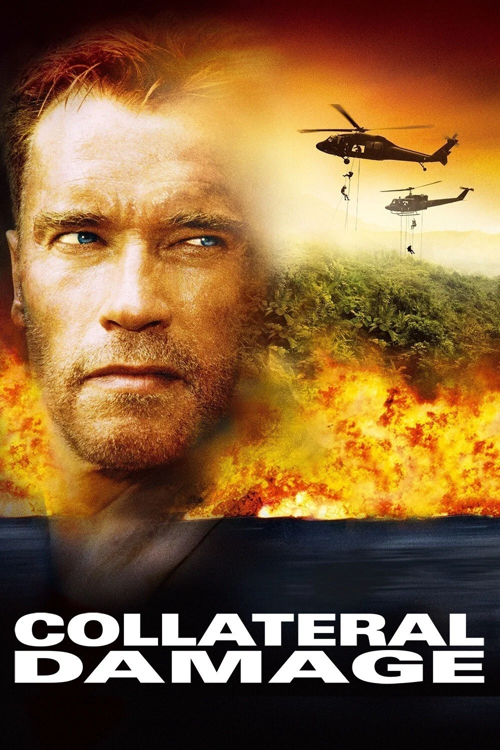 Cover of Collateral Damage