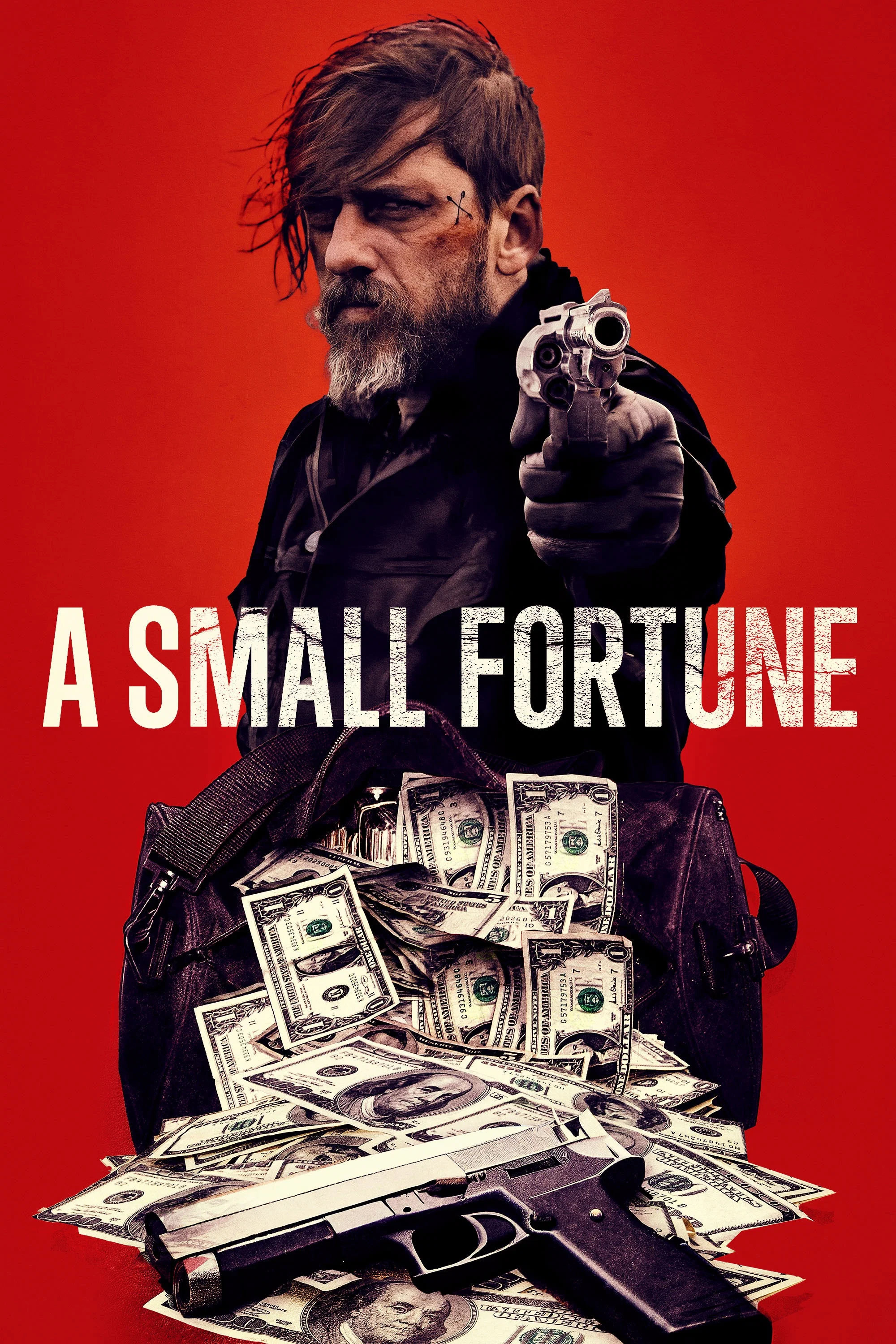 Cover of A Small Fortune