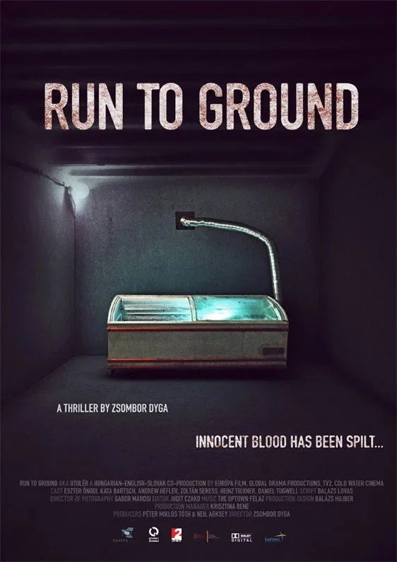 Cover of Run to Ground