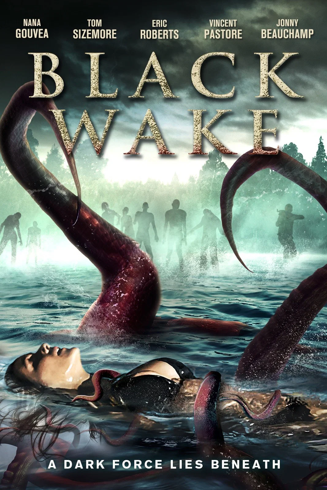 Cover of Black Wake