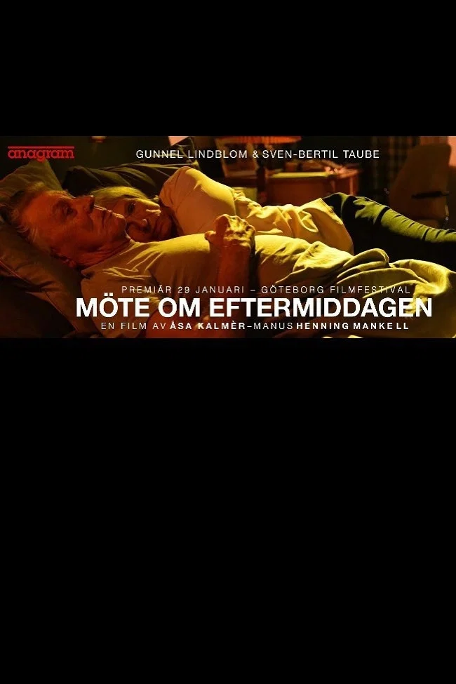 Cover of Afternoon Encounter
