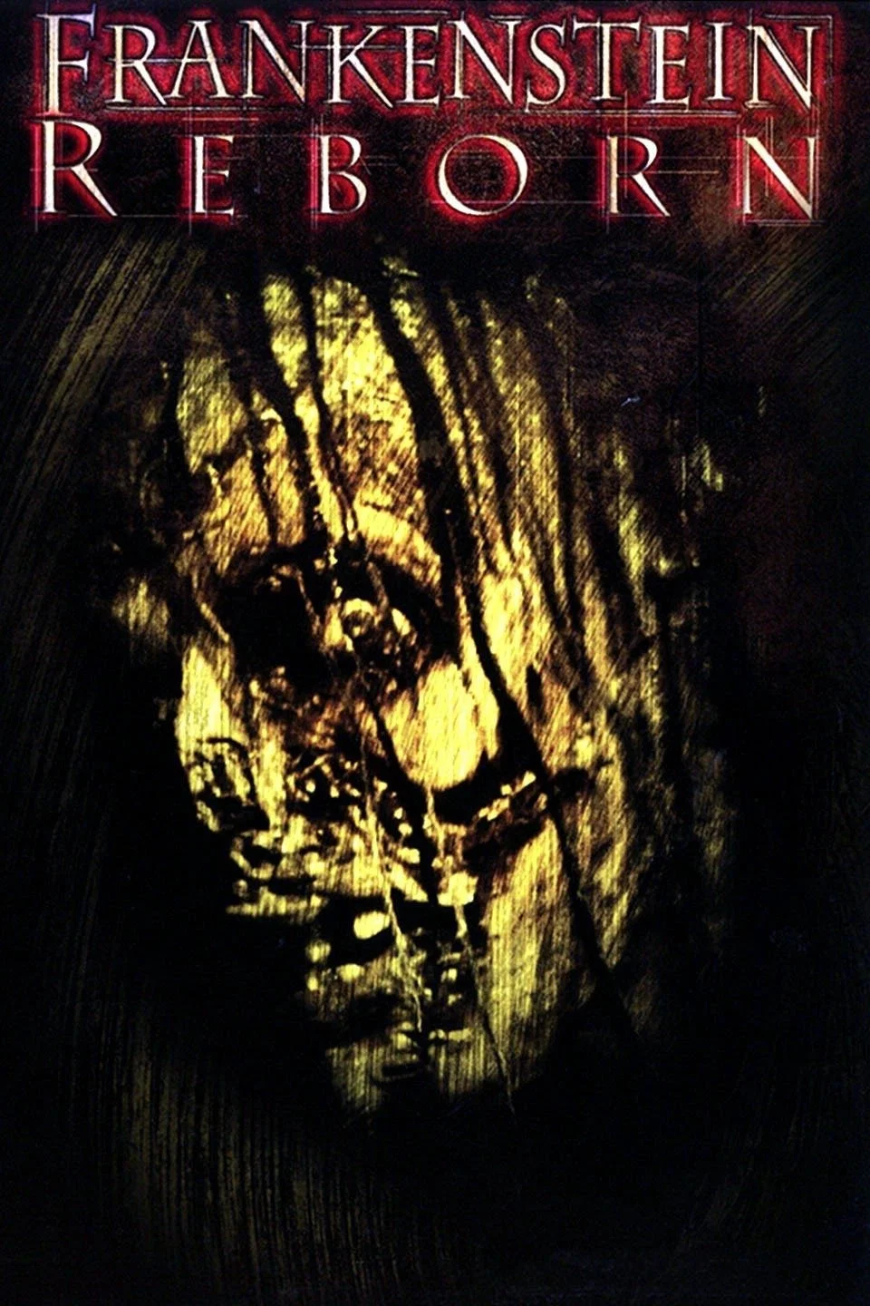 Cover of Frankenstein Reborn
