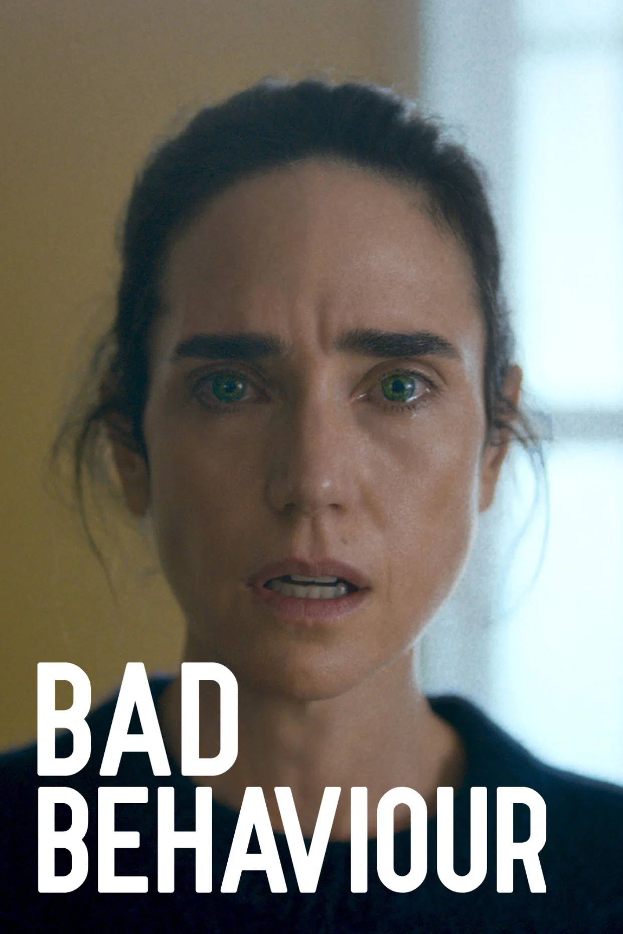 Cover of Bad Behaviour