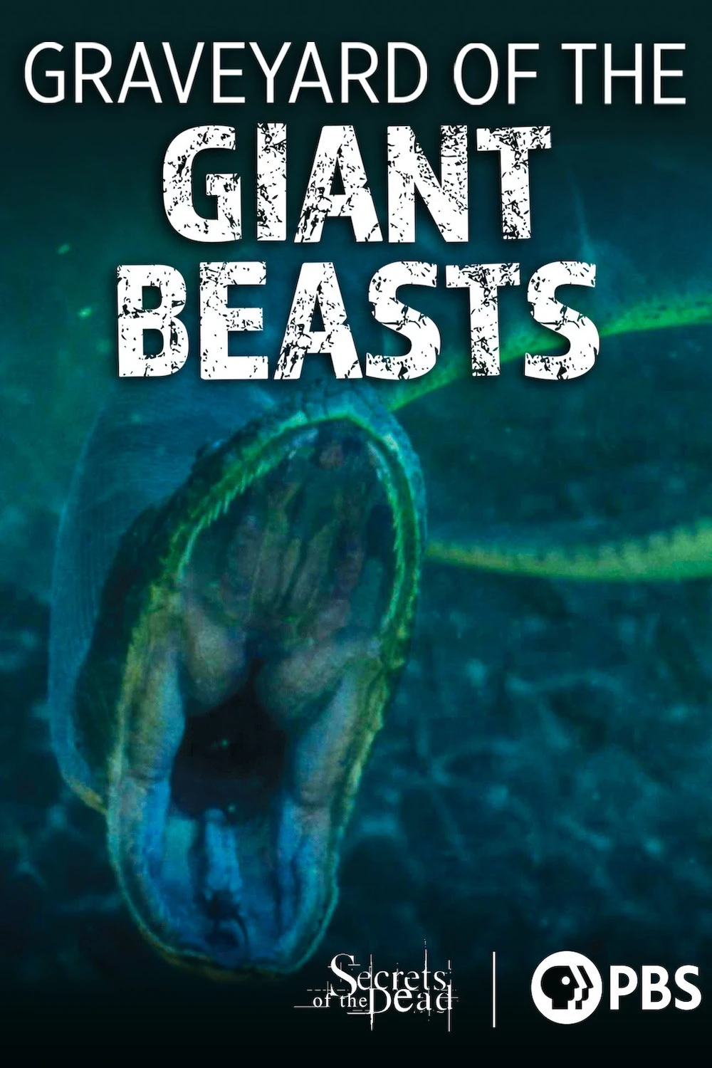 Cover of Secrets of the Dead: Graveyard of the Giant Beasts