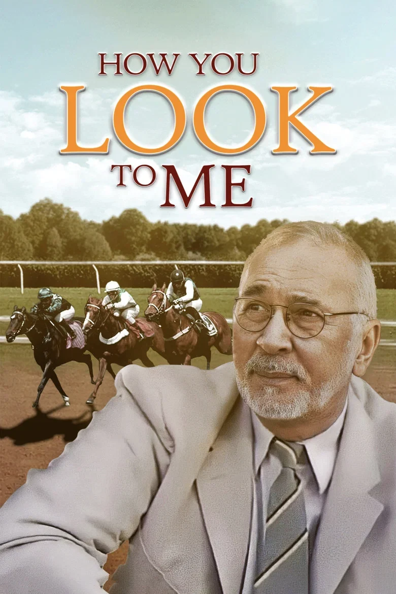 Cover of How You Look to Me