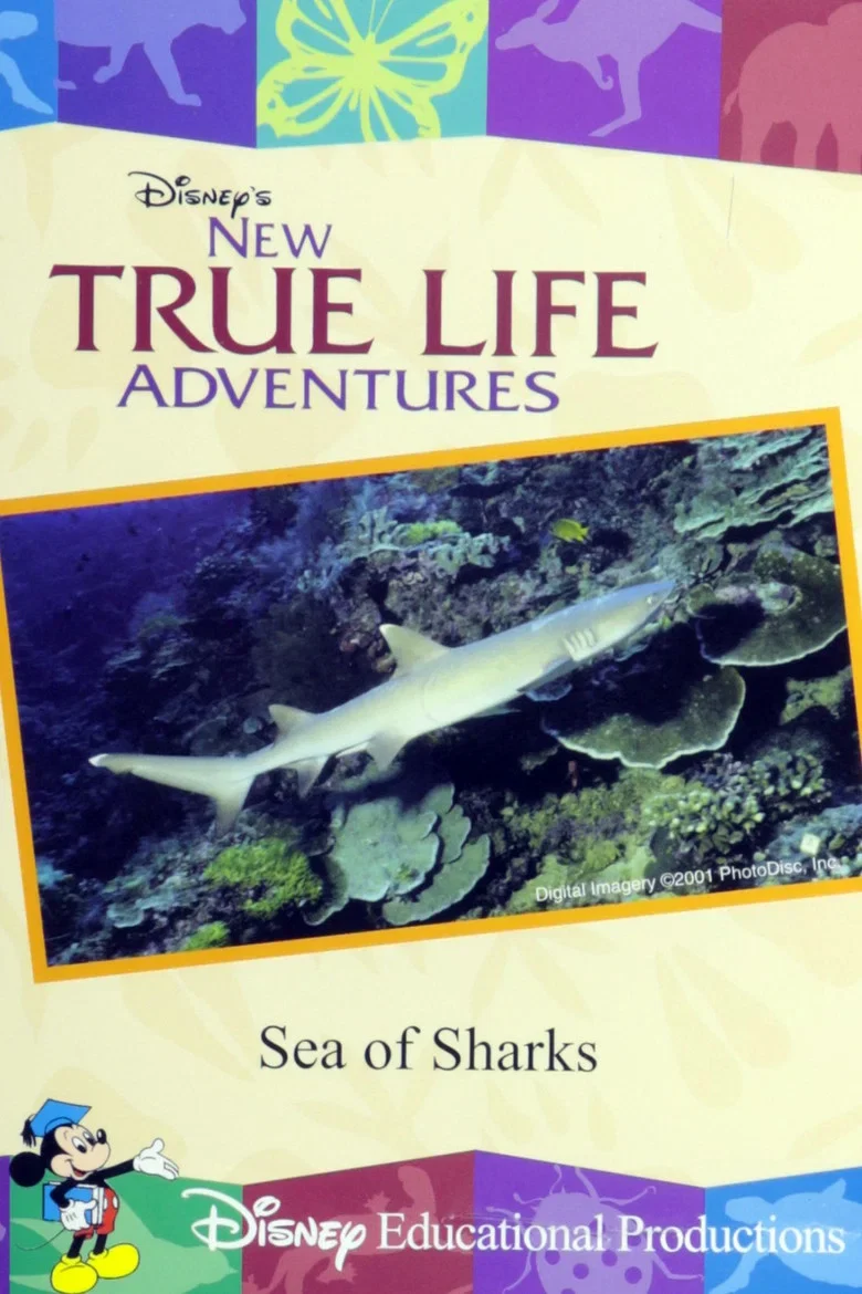 Cover of Sea of Sharks