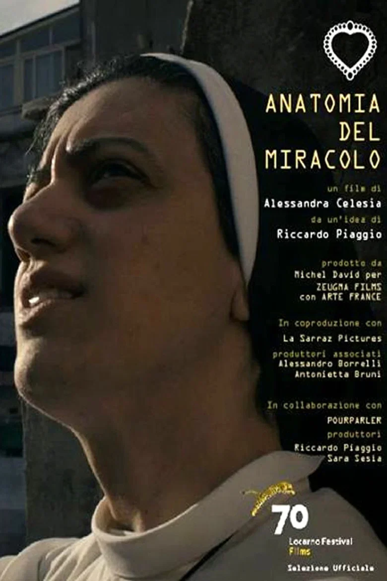 Cover of Anatomia del miracolo