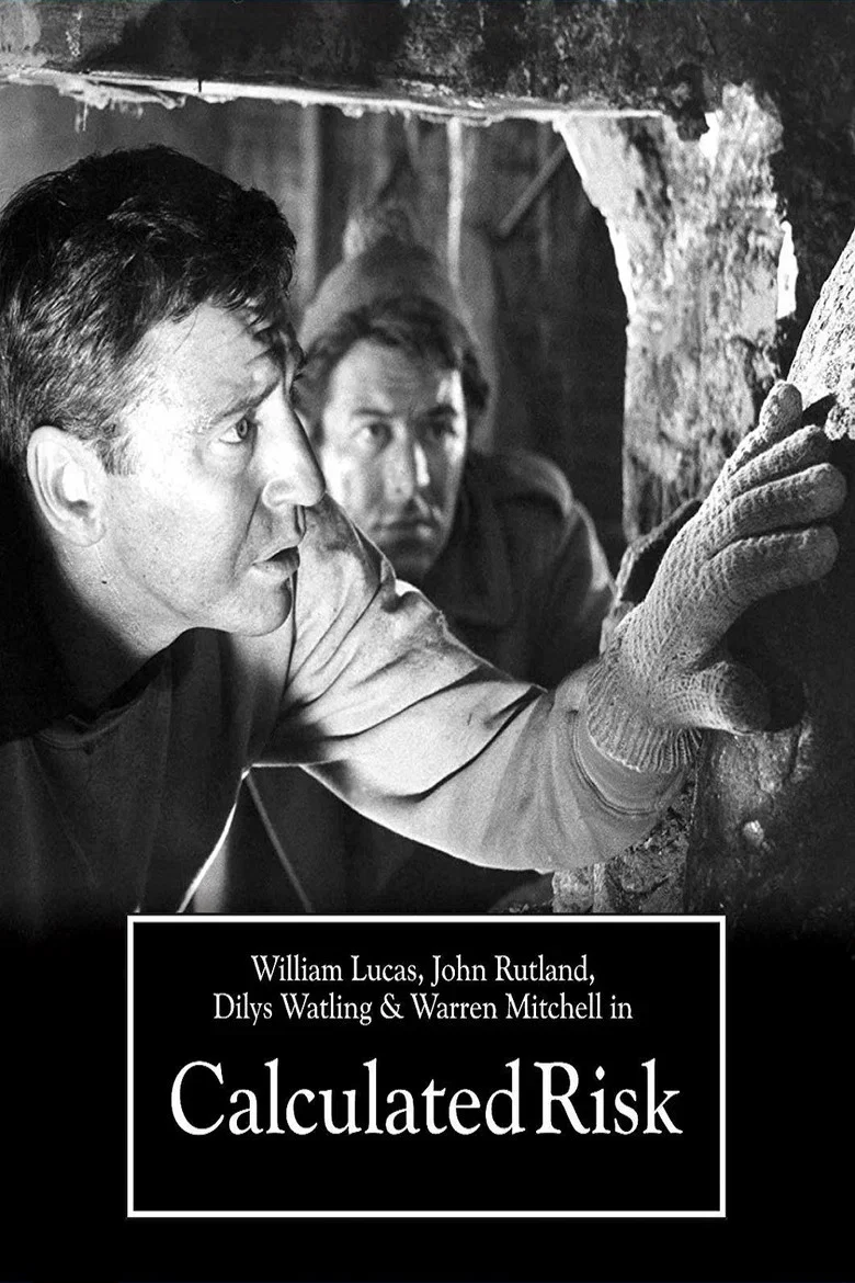 Cover of Calculated Risk