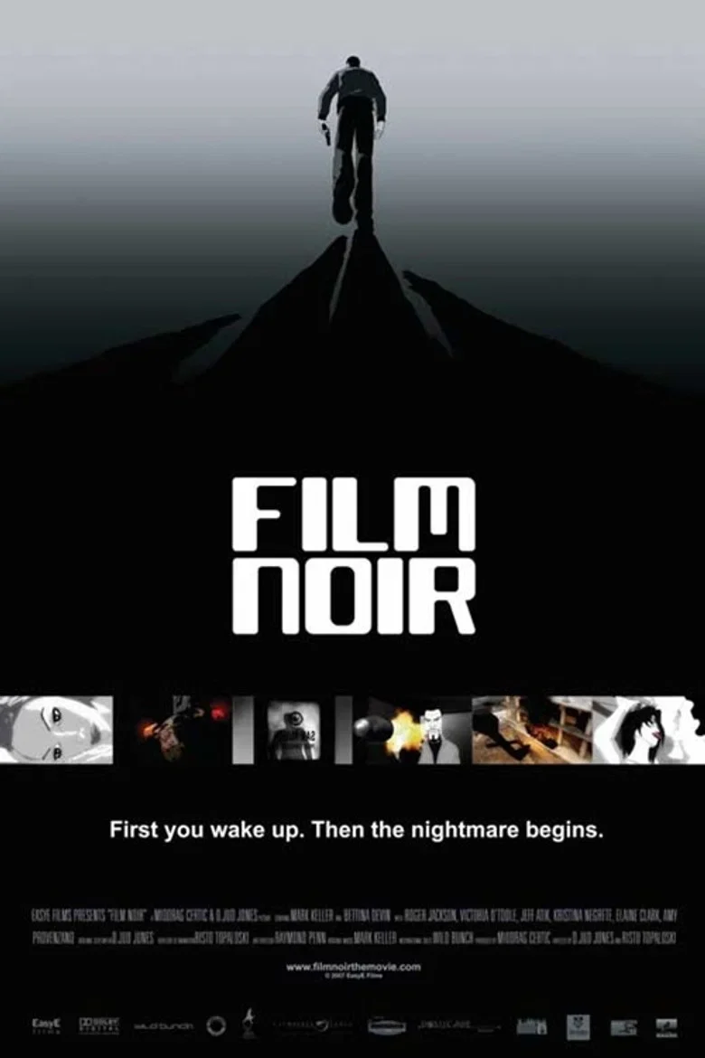 Cover of Film Noir